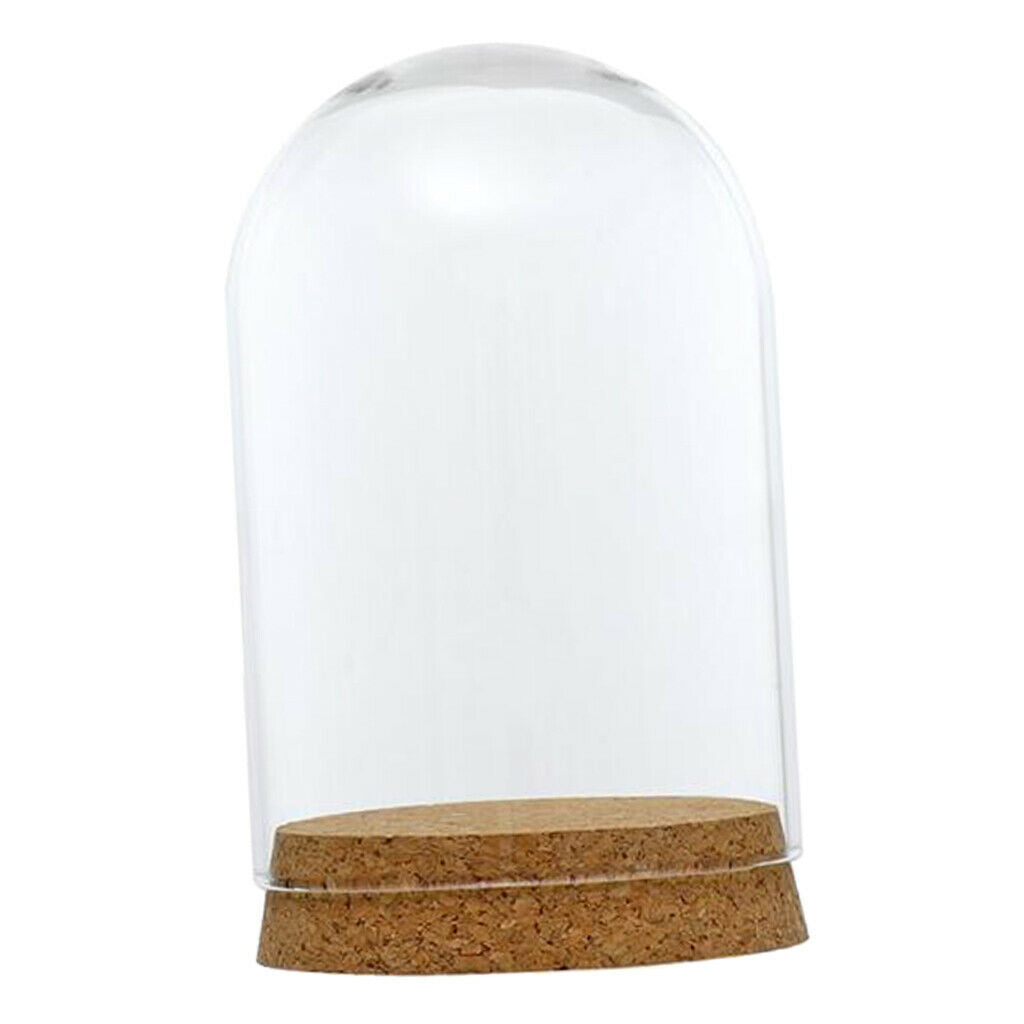 2Pieces 8x12 & 6.5x10cm Glass Dome Cover Cloche Bell Jar Terrariums with Wood