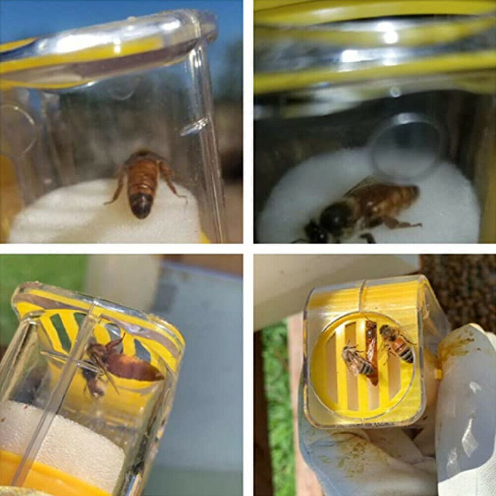 Bee Queen Marker Bottle Cage Plastic Handed Marking Catcher Beekeeping Tool