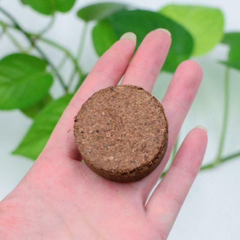Mini Bonsai Nutritious Soil Cat Grass Meaty Potted Coconut Husk Powder Low Salt