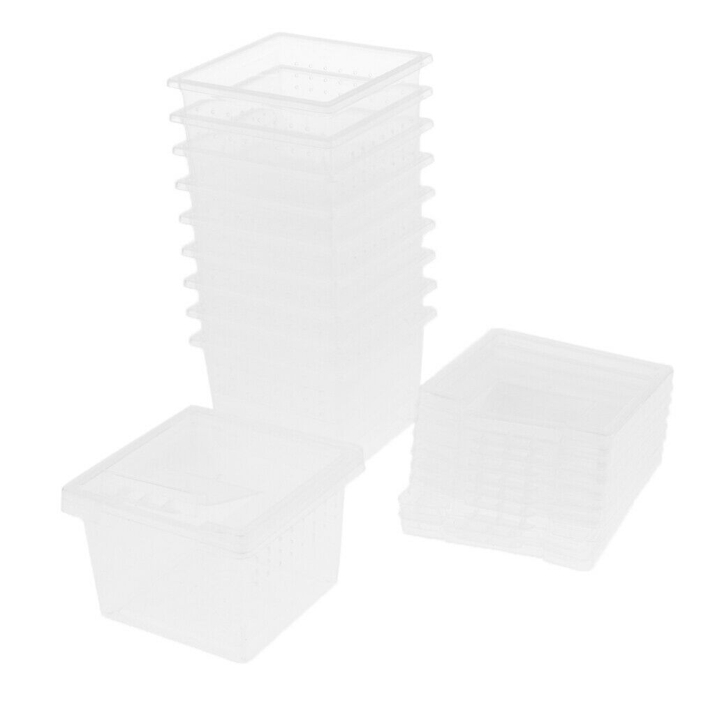 40x Clear Plastic Pet Reptile Spider Breeding Box Container Cage Empty
