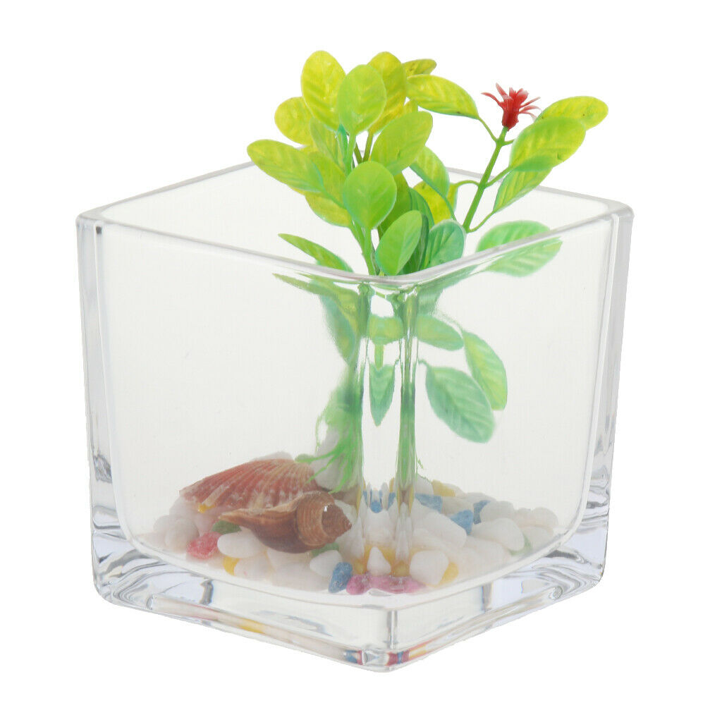 Thickened Glass Ecological System Aquarium Fish Tank Desktop Decor Clear