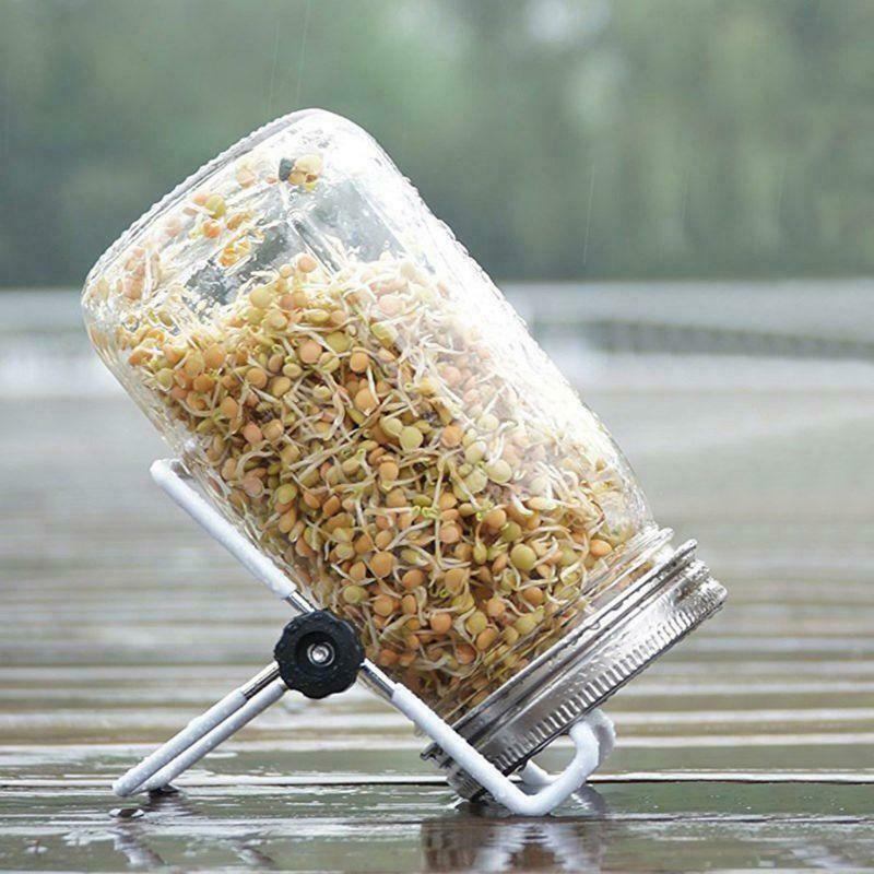 Sprouting Jar with Stainless Steel Screen Lid Wide Mouth Quart Mason Sprouter
