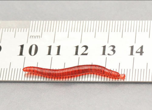 Soft Red Earthworm Fishing Bait Worm Lures Crankbaits Hooks Baits Tackle 100 Pcs