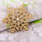 Fashion Brooch Pin Golden Snowflake Winter Snow Theme Ladies Brooch Pin Gift