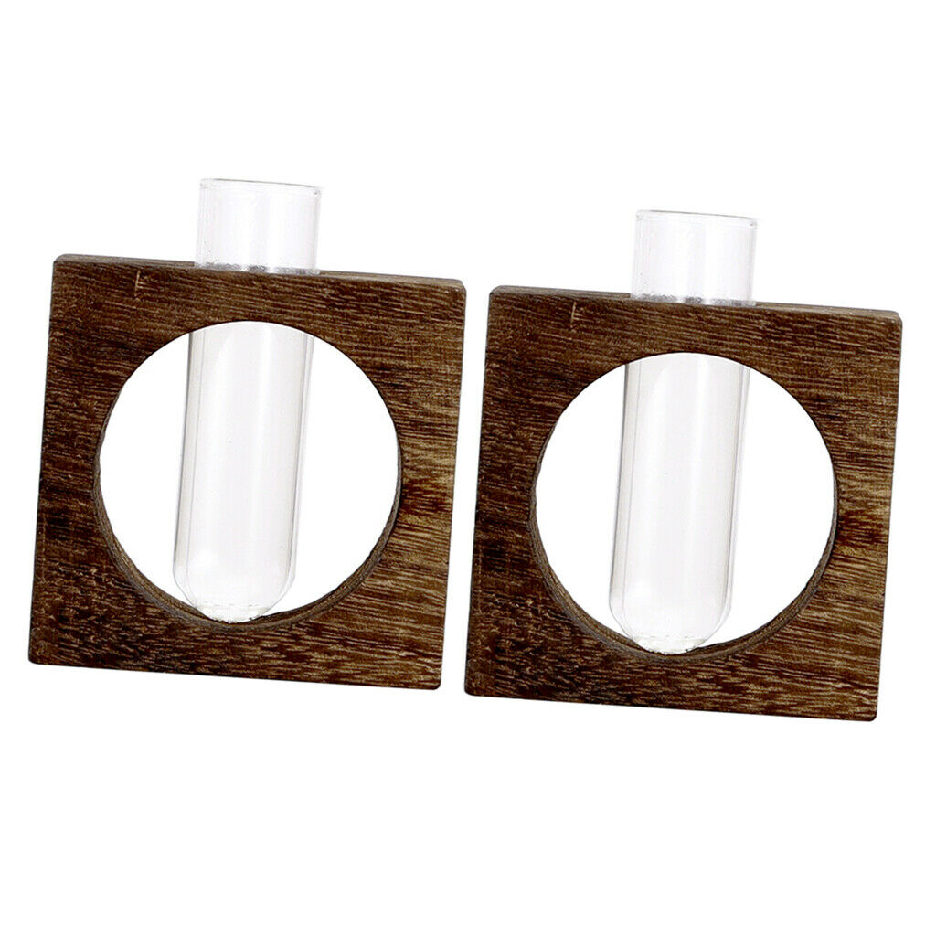 2x Tabletop Single Test Tube Vase Hydroponic Plants Planter Flower Pots