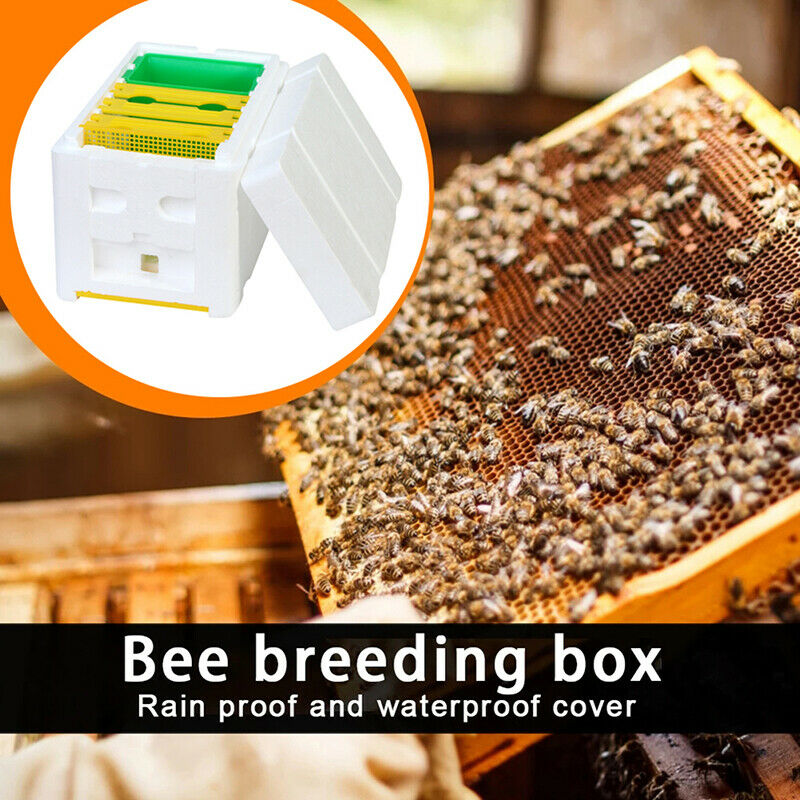 Queen Bee Breeding Mating Beehive Harvesting Pollination Beehive Box Beekee KX