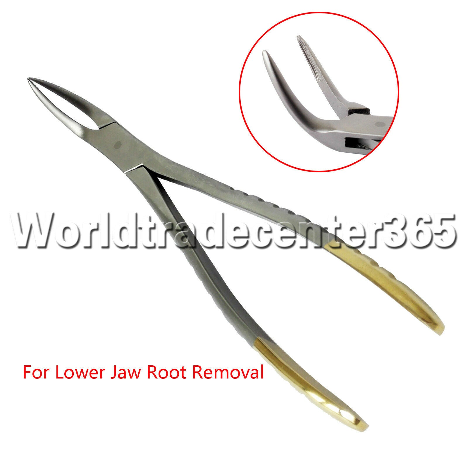 3Pcs Dental Upper Lower Tooth Root Extraction Forceps Surgical Extracting Pliers