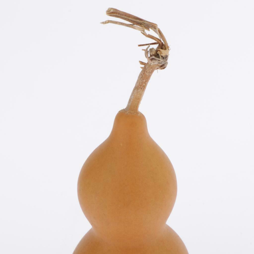 3Pcs Natural Gourds Pendant Unpainted for DIY Crafts Home Hanging Ornament