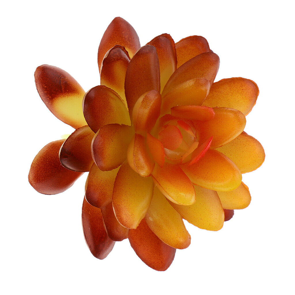 Artificial Plastic  Simulation Succulents Plants Flowers Vivid Echeveria Flower