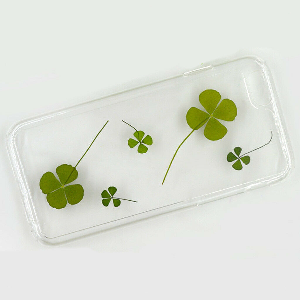 12Pcs Natrual Dried Flowers Leaves Embellishments Crafts for Phone Case