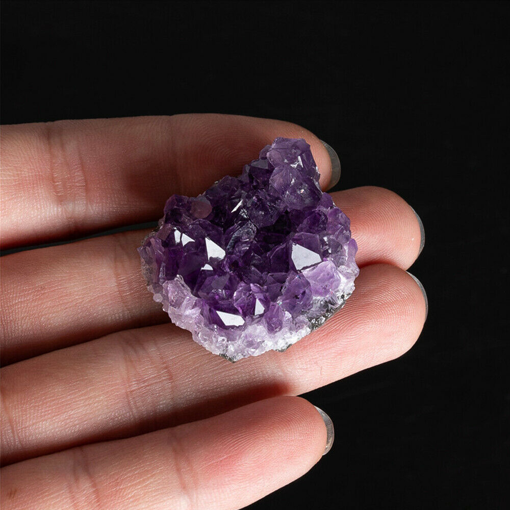 1x Natural Raw Amethyst Quartz Geode Druzy Crystal Cluster Healing Specimen