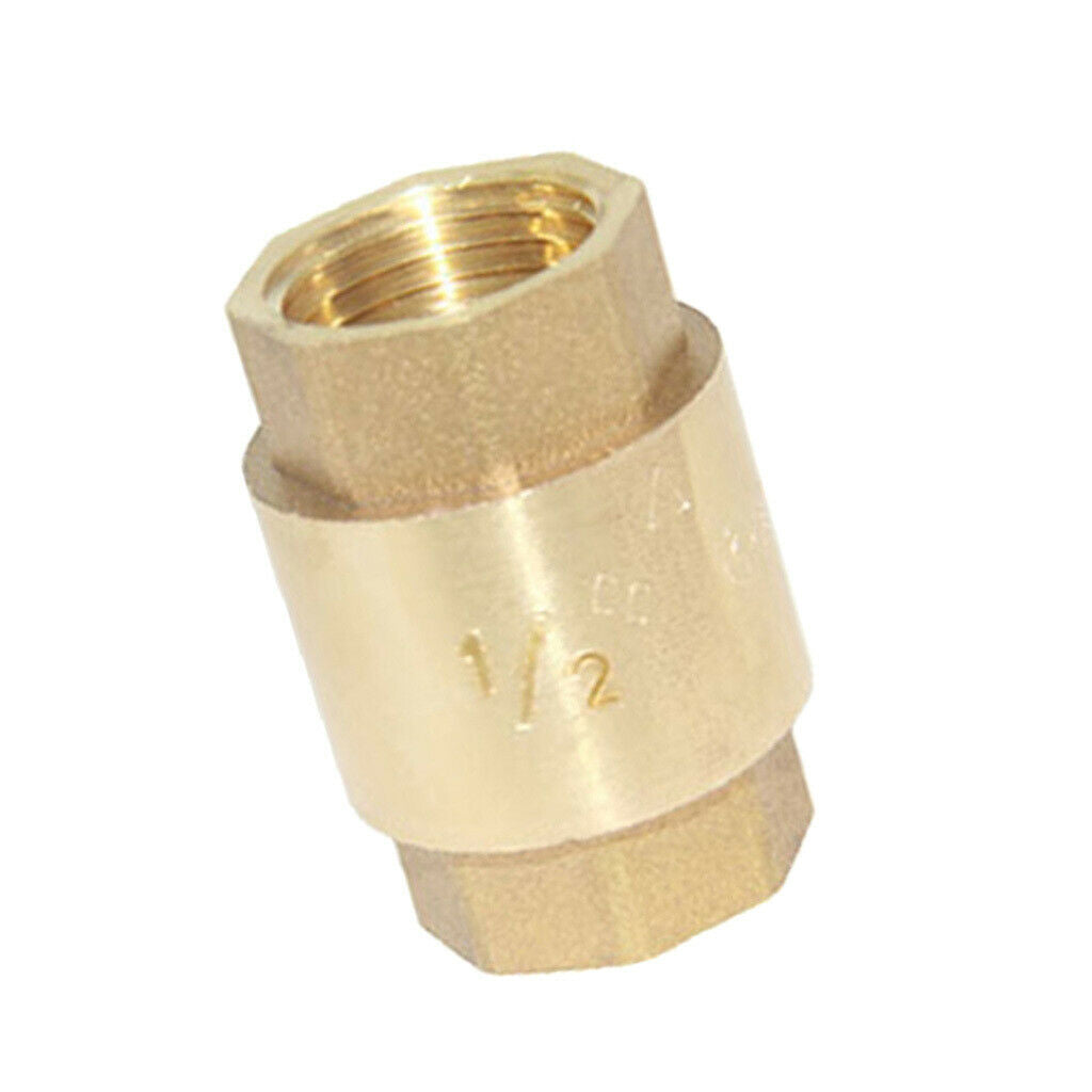 1/2 "Vertical Thread Check Valve Spring High Pressure Internal Valve