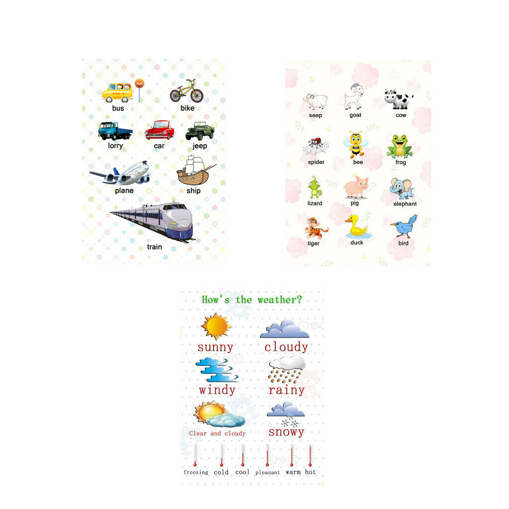 3Pcs Transport Animal &Weather Preschoolers Kids Early Learning Educational
