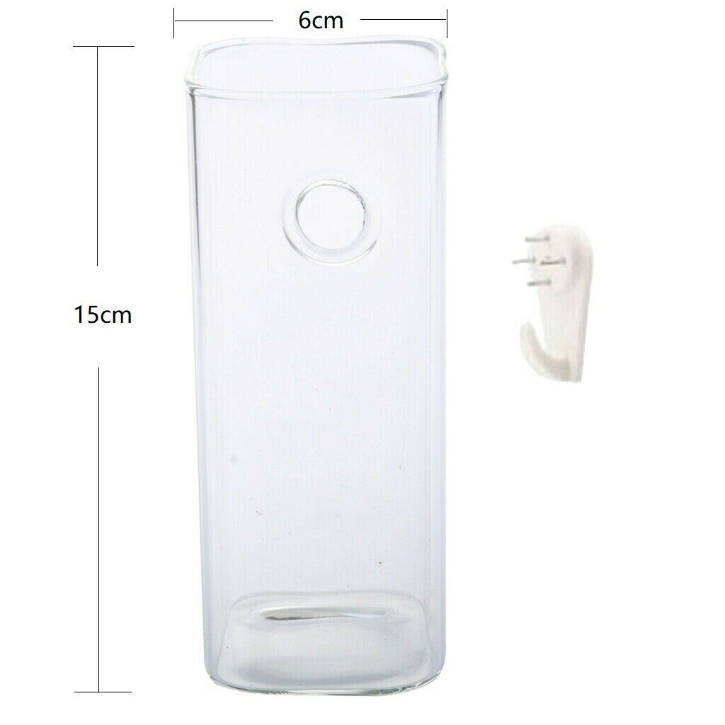 Square Hydroponic Hanging Planter 15cm Nursery Pot Glass Flower Vase Decor