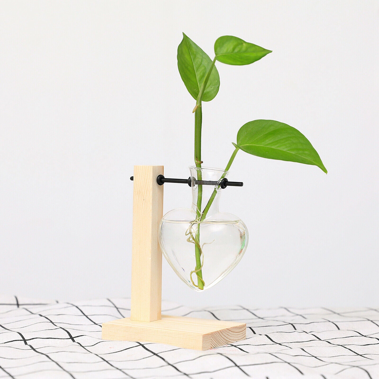 Glass Vase with Wooden Stand Frame for Hydroponics Plants Desktop
