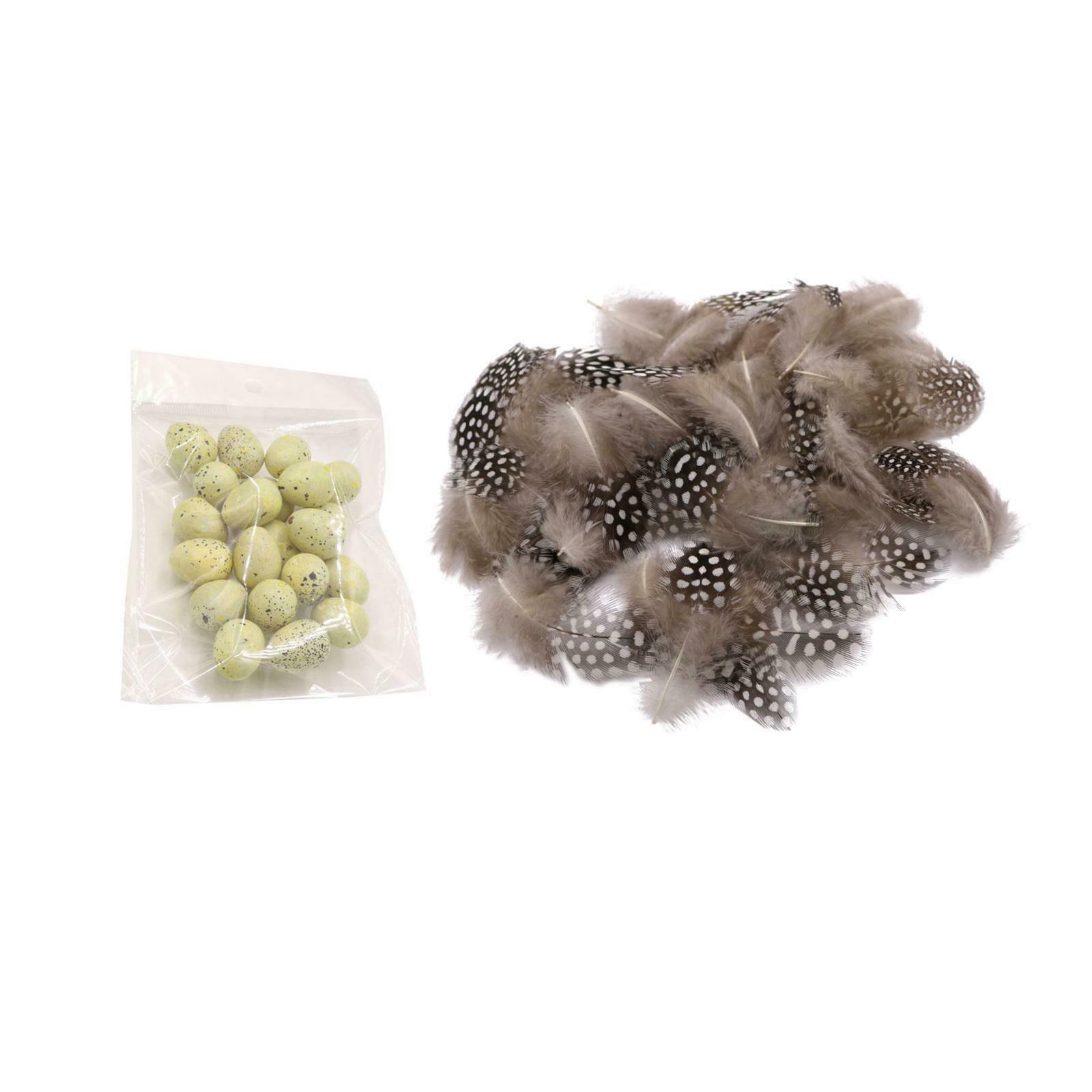 Pheasant Rooster Feathers Bird Eggs Crafts Wedding for Accessories Ornament