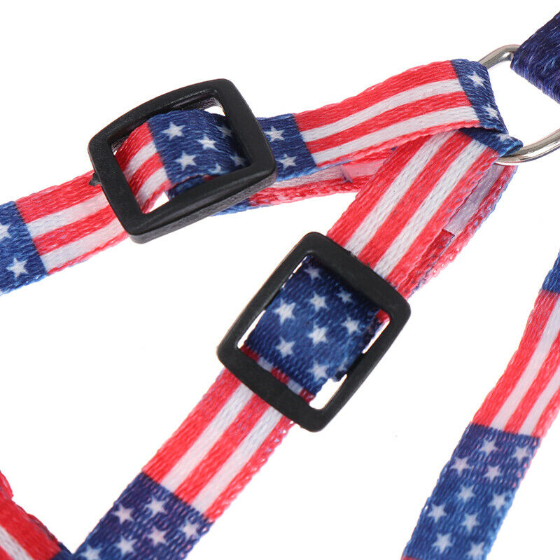 1CM Width Small Pet Dog Cat Print Rope Lead Leash Harness Adjustable Ches.l8
