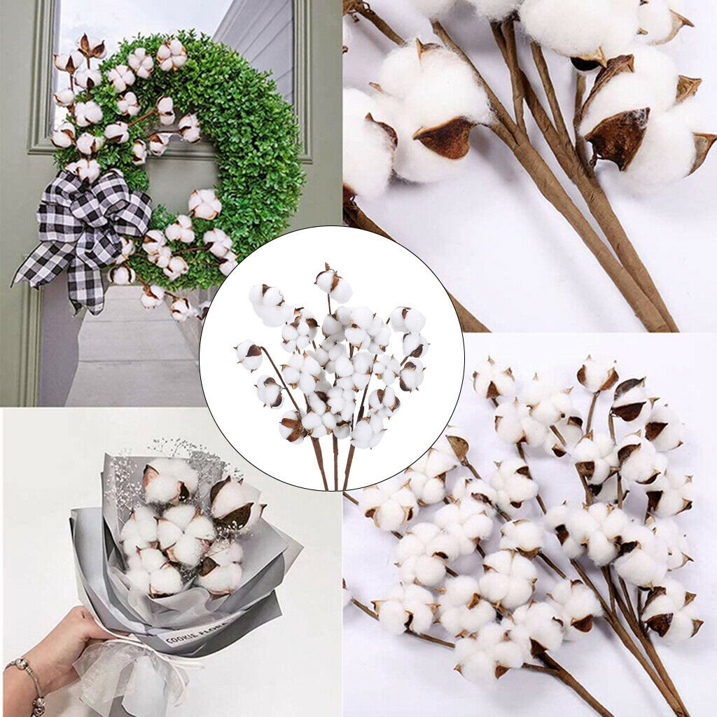 Dried Cotton Stems Table Centerpieces Vase Filler for Decor 7 Bolls 6pcs