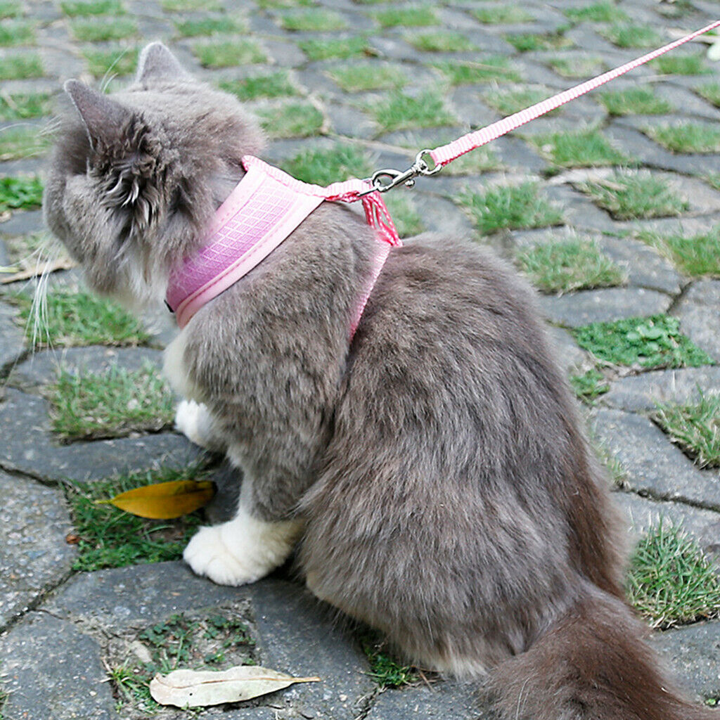 Set of 2, Pet Cat Kitten Soft & Comfy Made Well 120cm/3.94ft Leash Puppy Dog