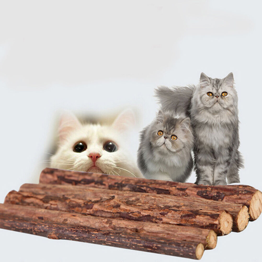 5x Pet Chew Stick Natural Matatabi Catnip Cat Molar Grinding Claws Treat T.l8