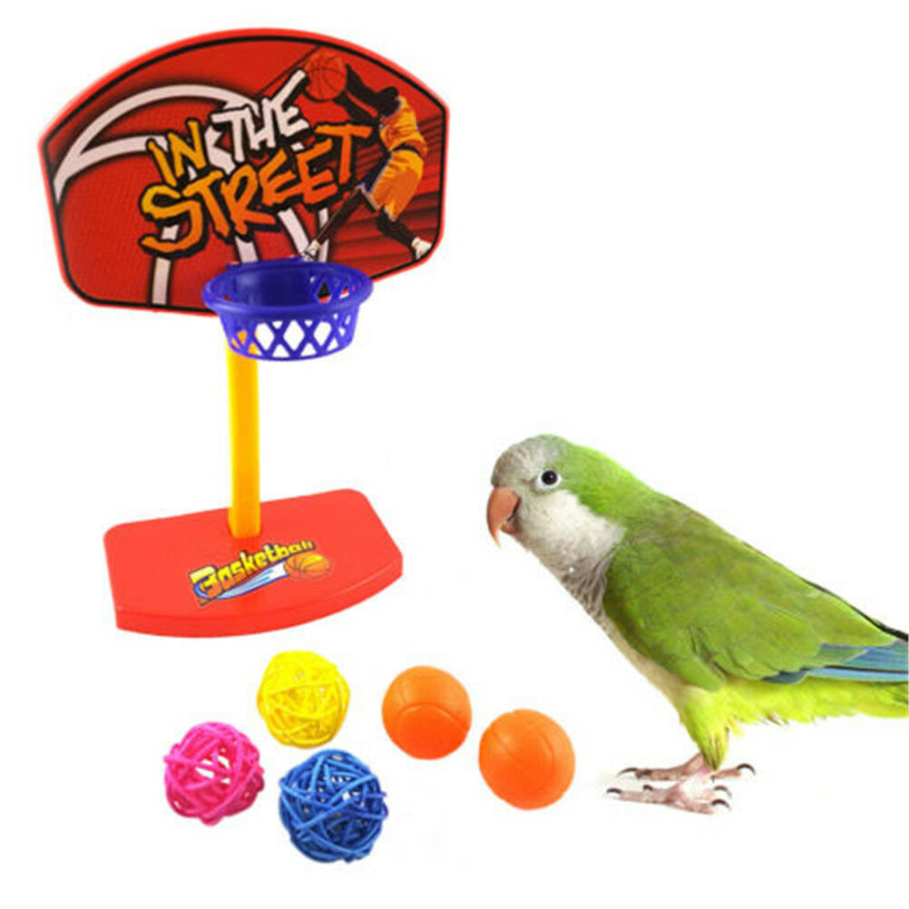 Pet Bird Chew Toys Parakeet Parrot Basketball Hoop Prop Trick Prop Balls .l8