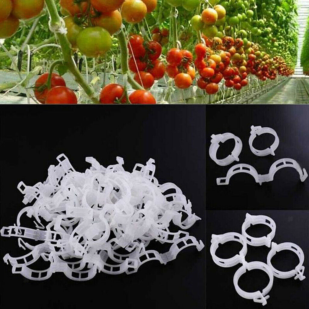 200x Plant Support Clips Tomato Trellis Grafting Clips Tomato Clamps Clips