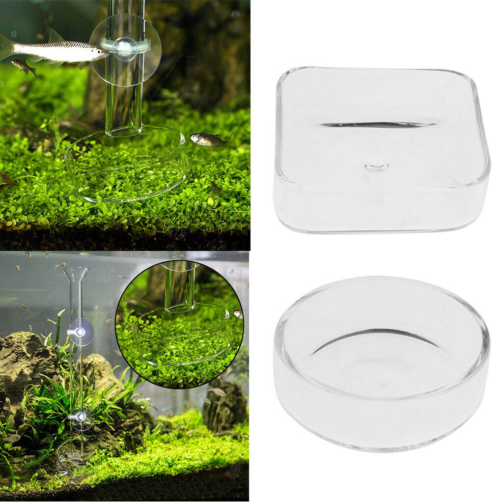Set of 2, Aquarium Crystal Clear Glass Square & Round Red Shrimp Snails Feeding