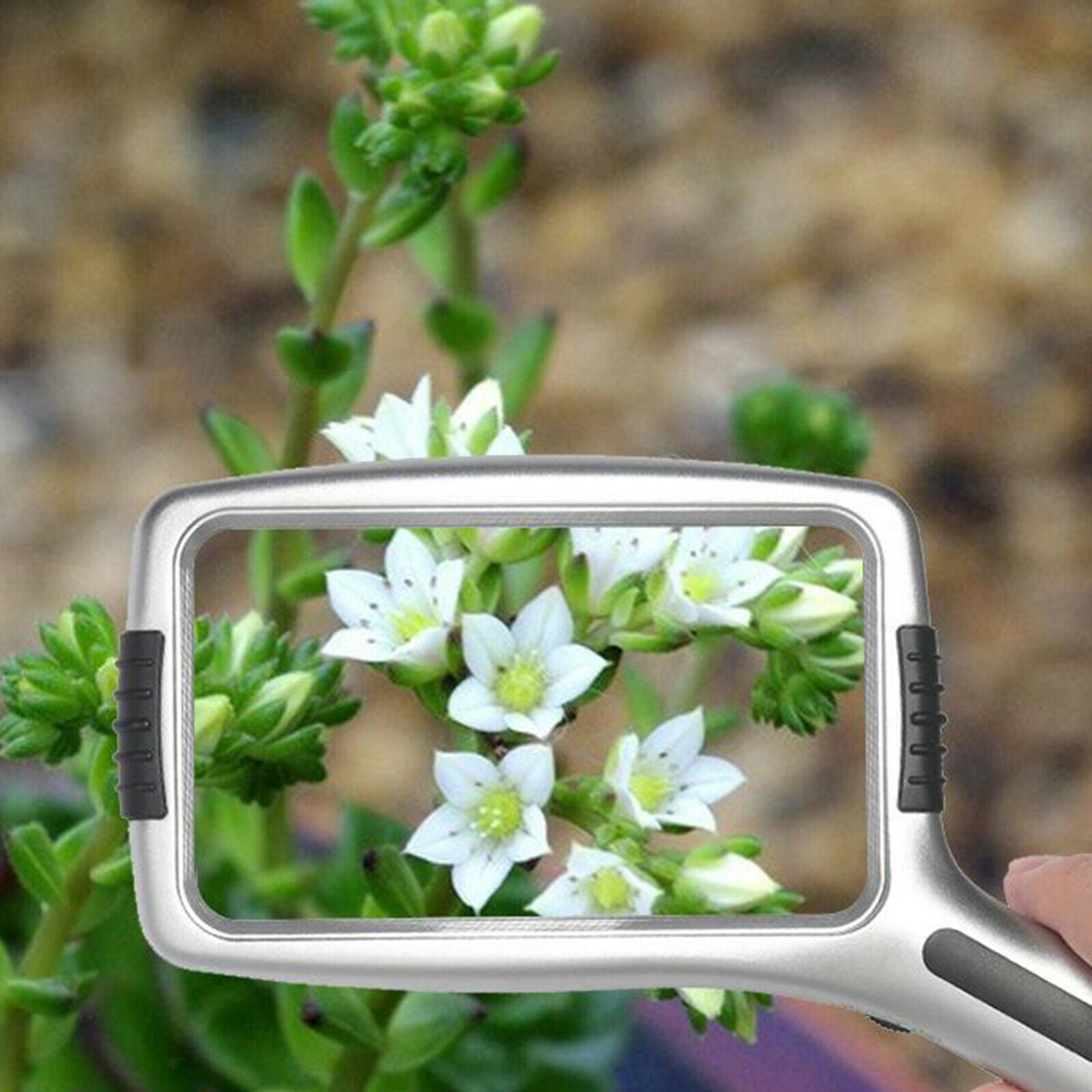 Rectangular Hand Held Lighted Magnifying Glass 3X/10X Anti-Glare for Repair