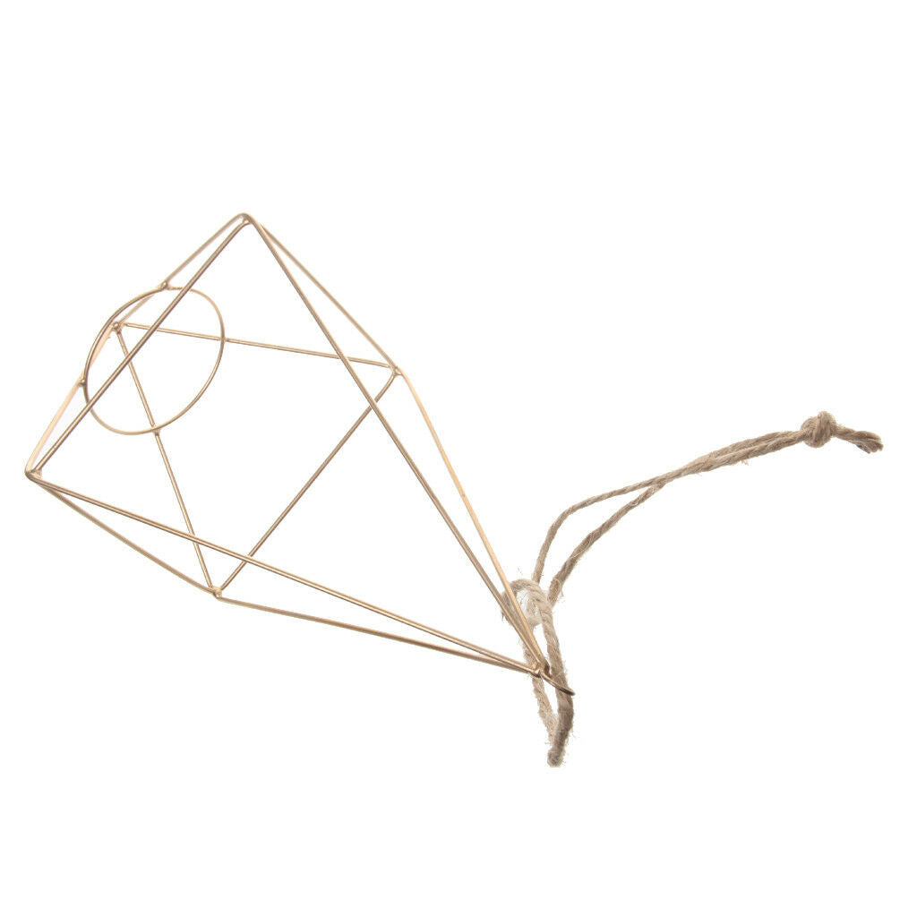 Metal Brass Hanging Tillandsia Air Plant Rack Holder Geometric Hanging Decor