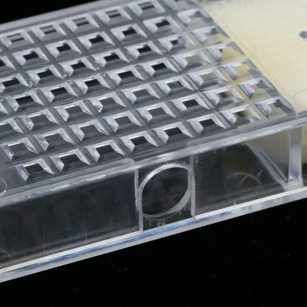 Queen Bee Cage Box / Bee Catcher / Cage for Transporting Bee Beekeeping Tool