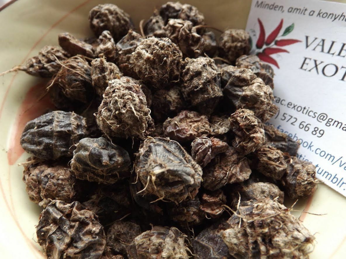 Large Black Tigernut - Ground Almond - Chufa - 10+ tubers - TASTY and EASY!