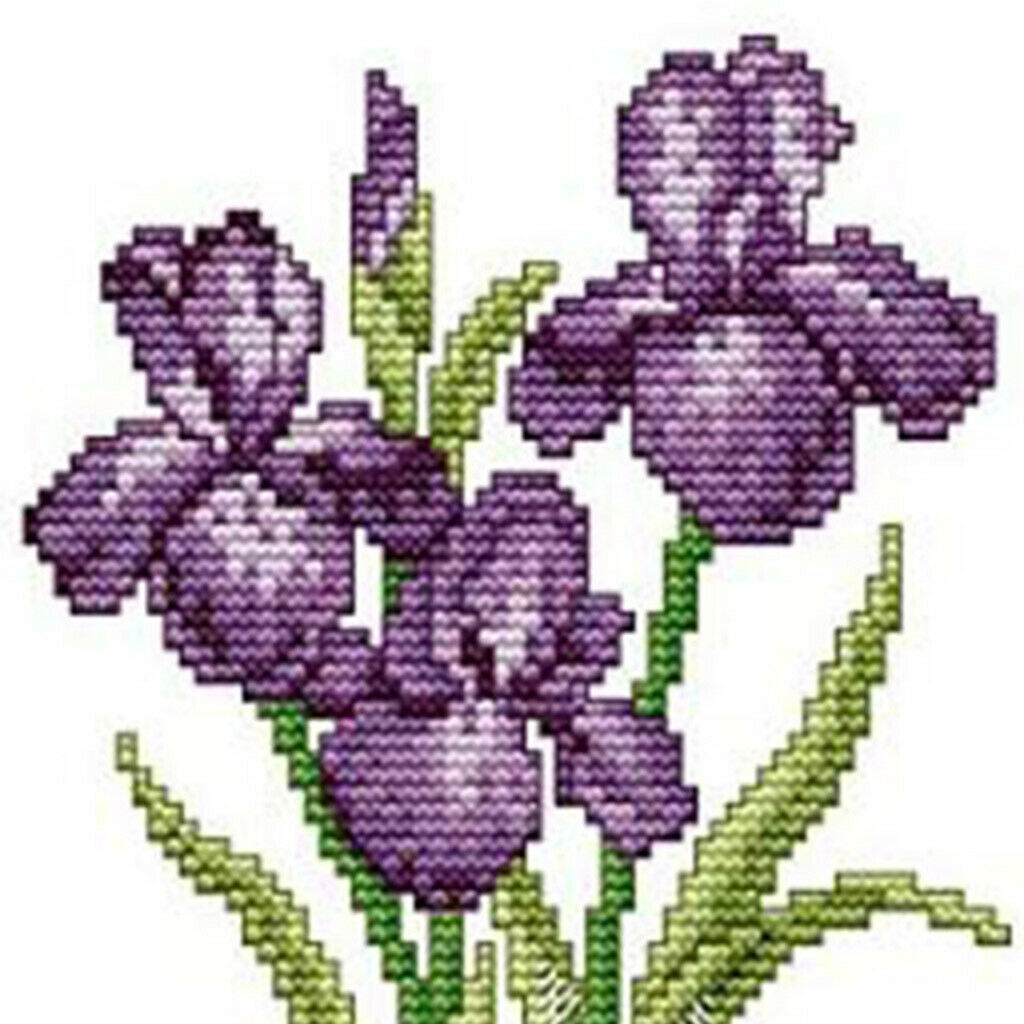 2Set Flower Pattern Stamped Cross Stitch Kit Embroidery Kit DIY Needlecraft