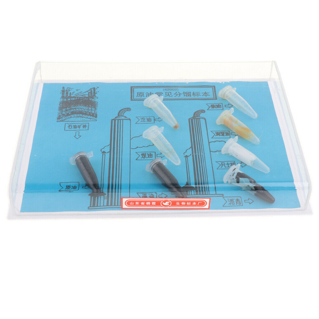 Children Educational School Experience - Oil Specimen
