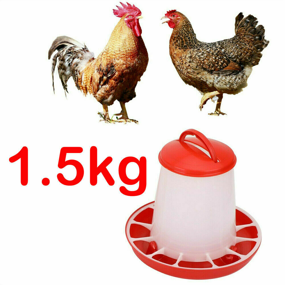 1.5L Automatic Bird Chook Poultry Feeder Drinker Chicken Poultry Waterer Kettle.