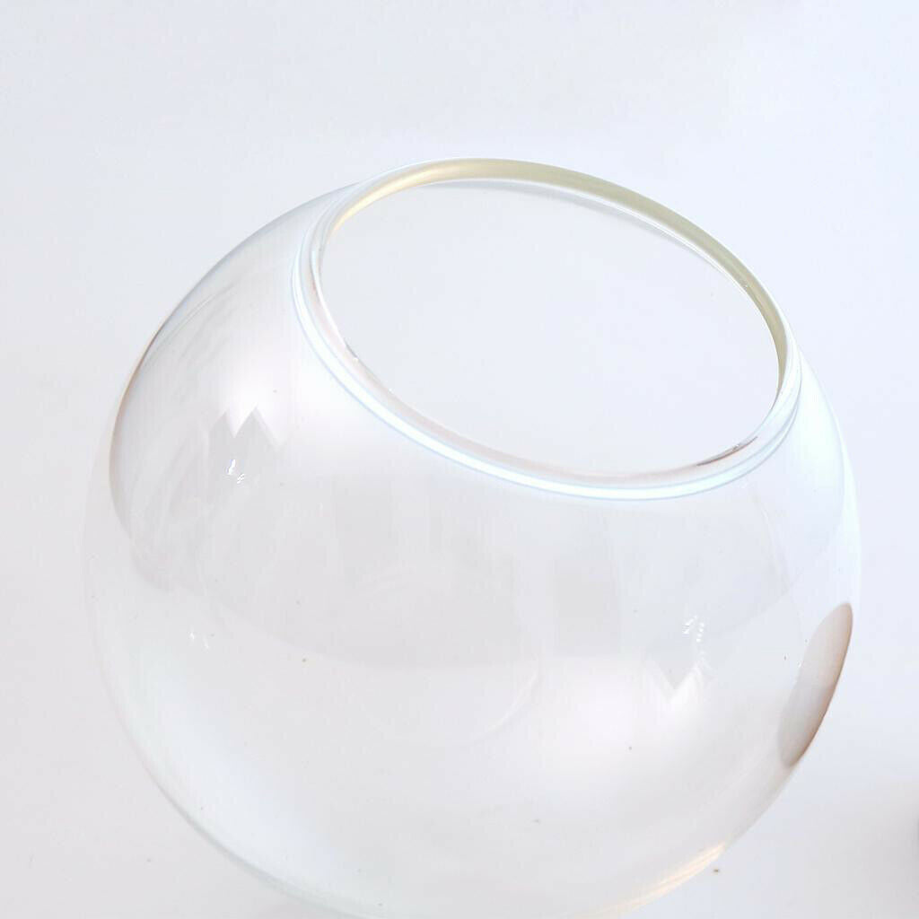 2xDia 12cm Glass Ball Shaped Cover Landscape Terrarium Container Lid Vase