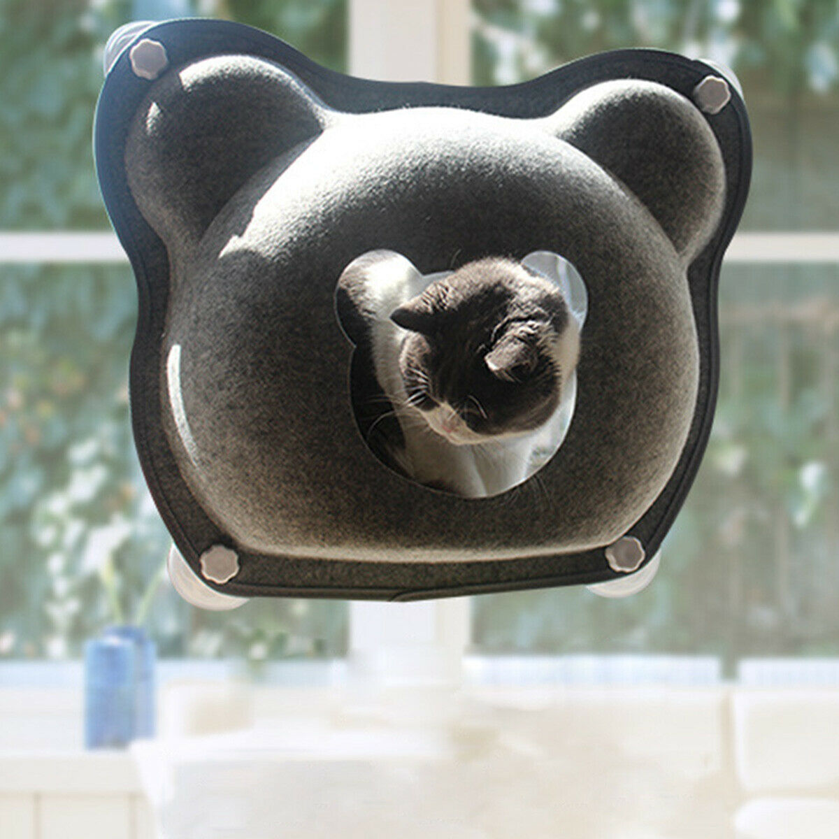Sunshine Window Mounted Kitten Hammock Basking Bed Bear Shape Cat House