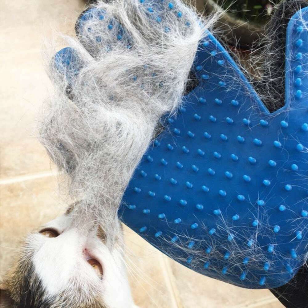 Pet Cats and Dogs Cleaning Magic Gloves Brush Massage Beauty Grooming Wash Tool