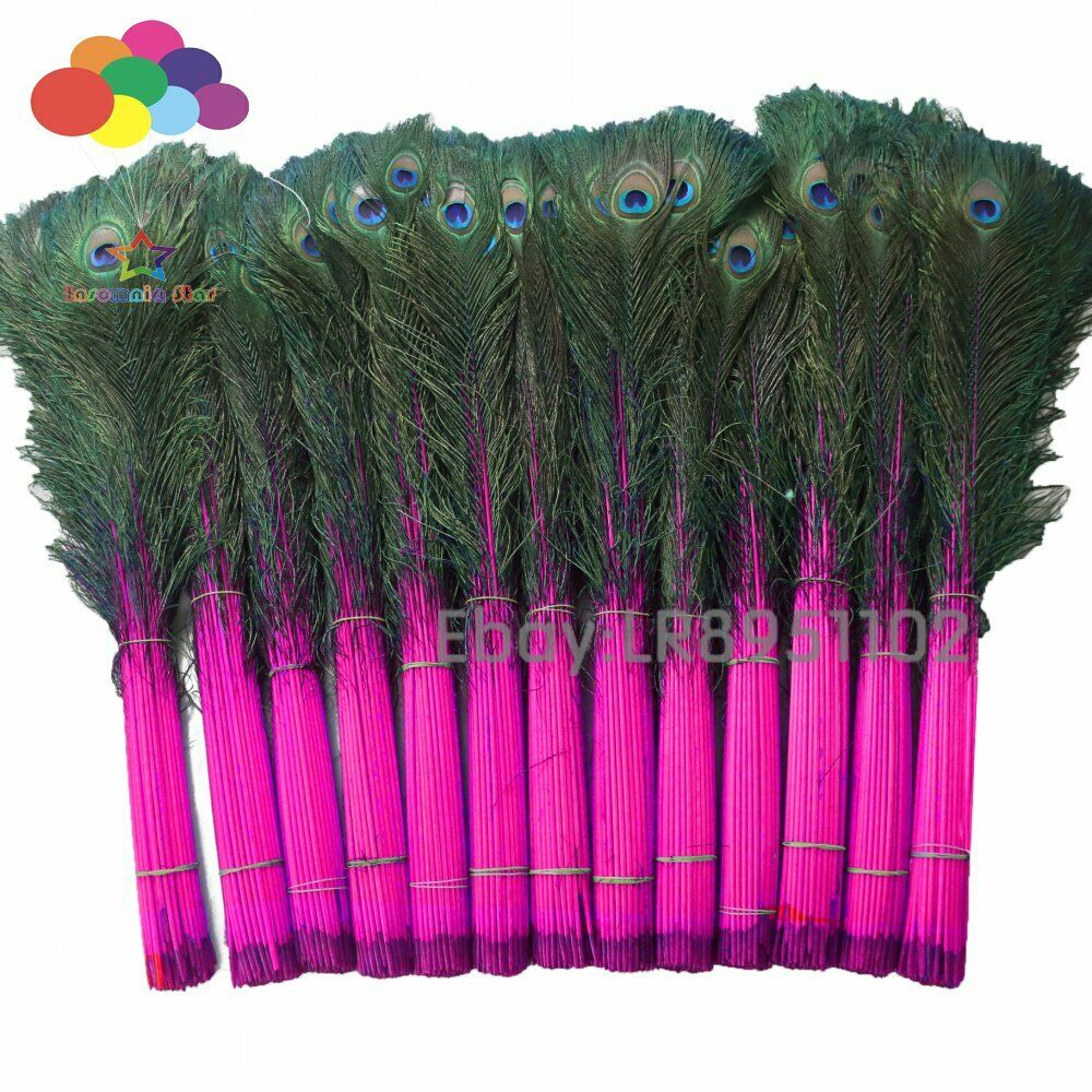 100 PCS Rose red Peacock Feather 70-80cm DIY Clothing Decoration Plumage Crafts