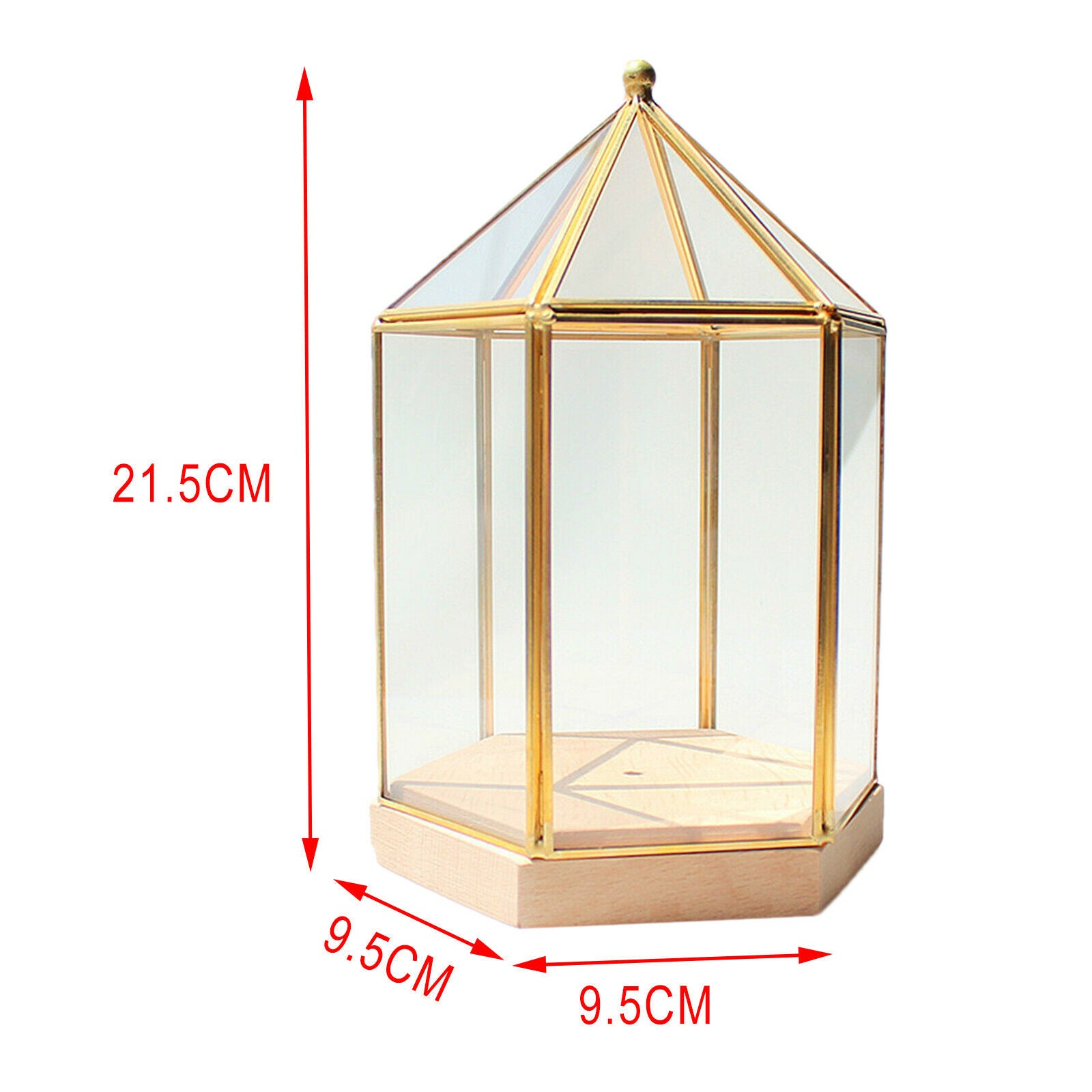 Modern Glass Wood Firefly Lights Shade Vase for Greenhouse Bar Club Decor
