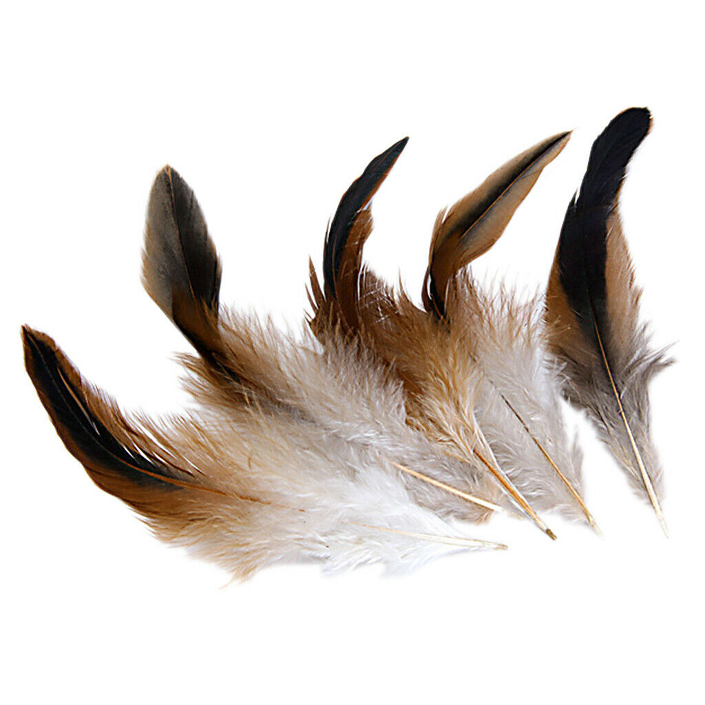 50pcs Natural Rooster Cock Feathers Fascir Costume DIY Sewing Craft 2-6