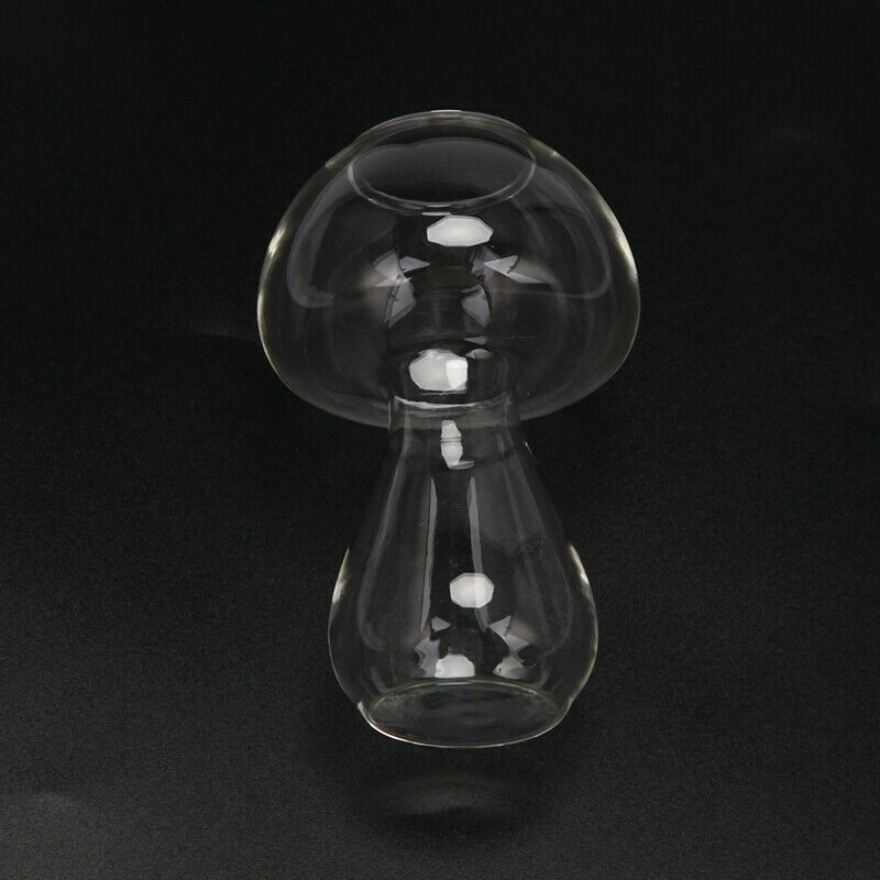 Clear Glass Vase Bottle For Plant Flower Decorations - Mushroom T5T5T5
