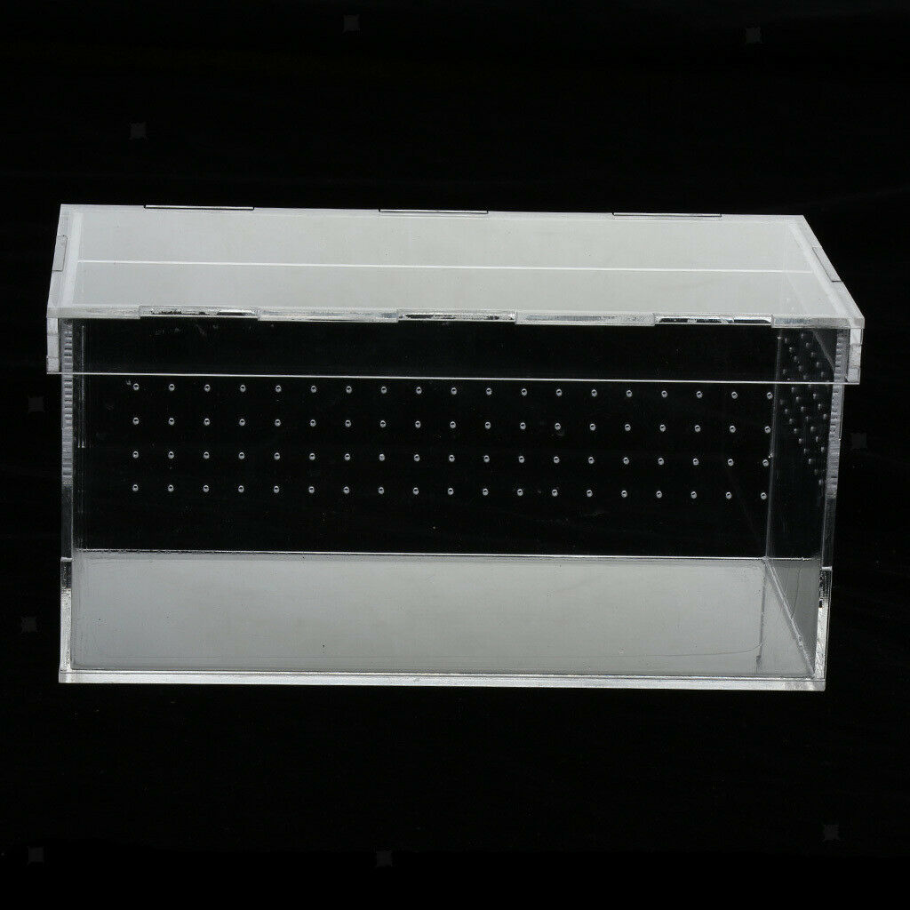 Acrylic Reptiles Terrarium Container Ideal for Reptiles or Amphibians ,Clear,
