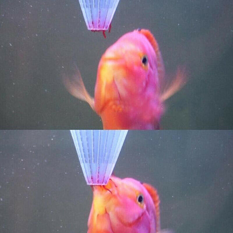 5Pc Aquarium Red Worm Cone Feeding Live Frozen Brine Shrimp Fish Feeding .l8