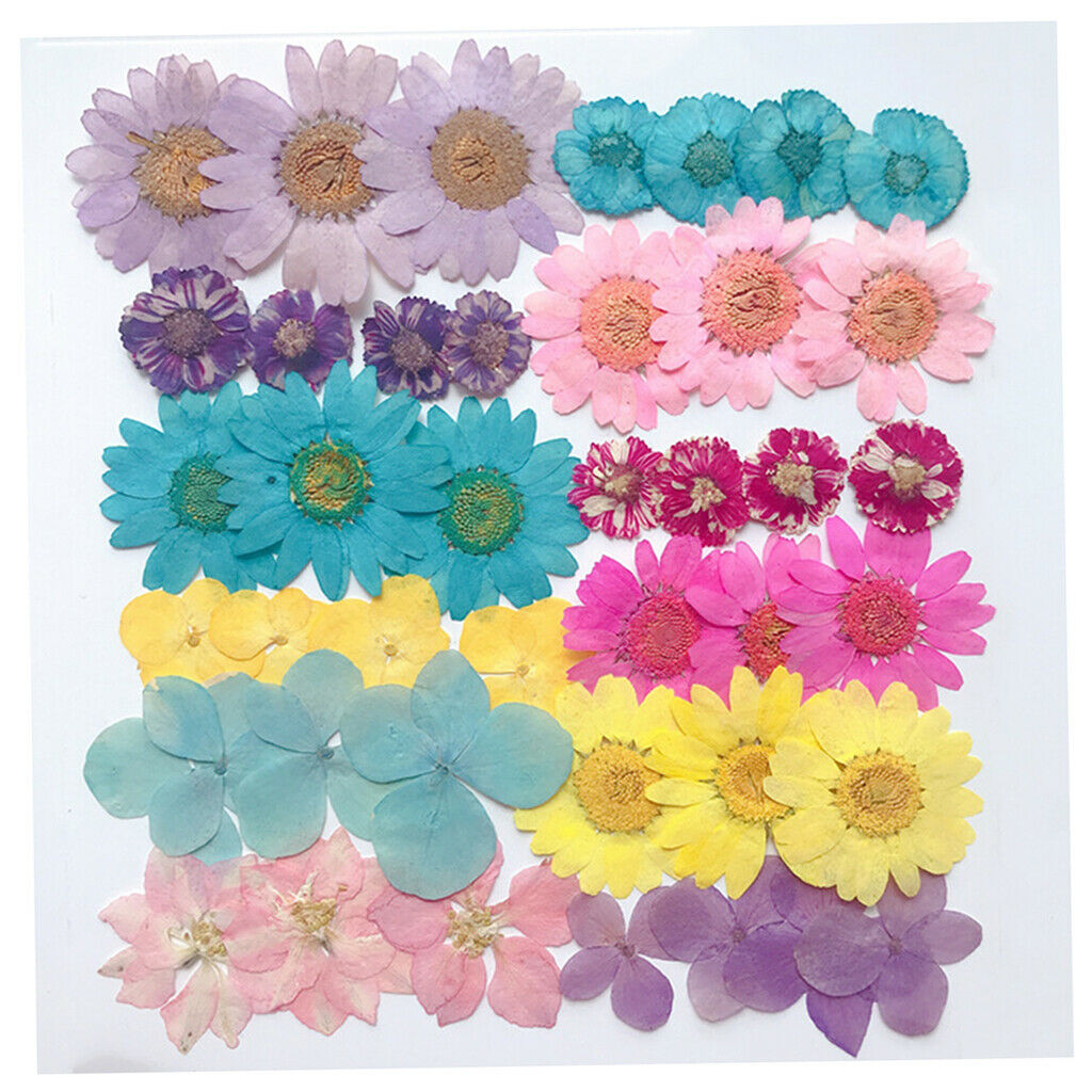 1Bag Assorted Dried Flowers Embellishments Crafts Soap Phone Case Decors