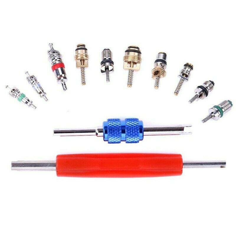 102pcs R134A Car Air Conditioning A/C Valve Core Valves+2 Removal Tools L6K2
