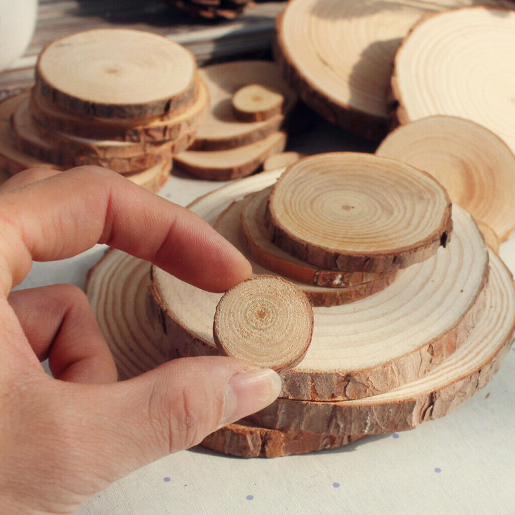 50pc Wood Tree Slices Disc Pine Tree Log Plaques for Drawing Paintings 2-4cm
