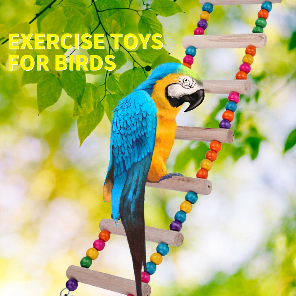 Pet Parrot Ladder Hanging Colorful Balls Wooden Bird Climbing Stairs Perch @