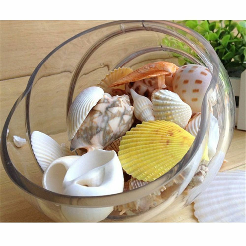 Approx 100g Aquarium Beach Nautical DIY Shells Mixed Bulk Sea Shell Fash;AUJ SJ