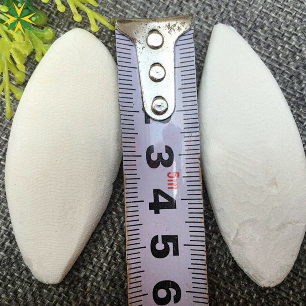 Bulk Cuttlefish Cuttle Fish Bone Parrott Bird Reptiles Rabbit Tortoise Food *