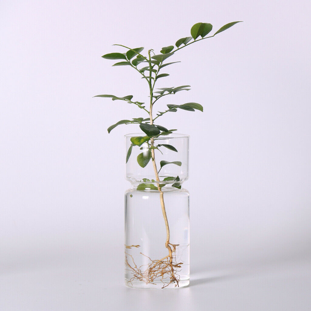 Clear Glass Vase Terrarium Plant Container Home Vase for Office Desktop